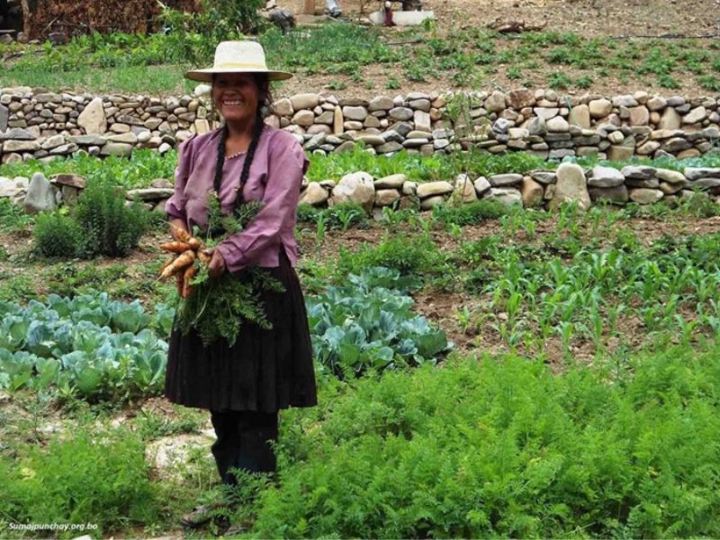 Producción agroecológica