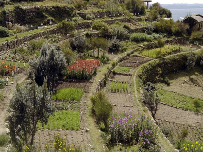 Terrazas para la agricultura