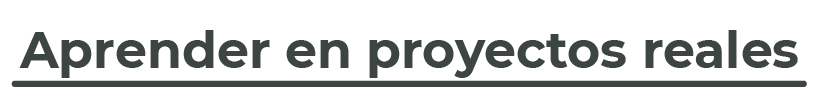 Titulos lepsa web-Aprender en proyectos reales
