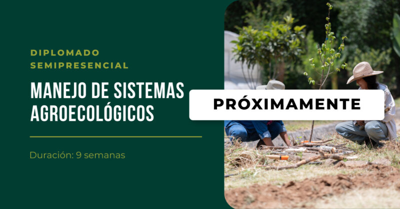 Manejo de Sistemas Agroecológicos
