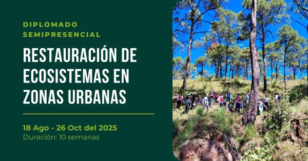 Restauración de Ecosistemas en Zonas Urbanas